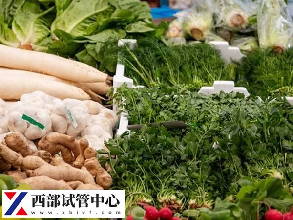 肥胖做試管怎么減肥最有效