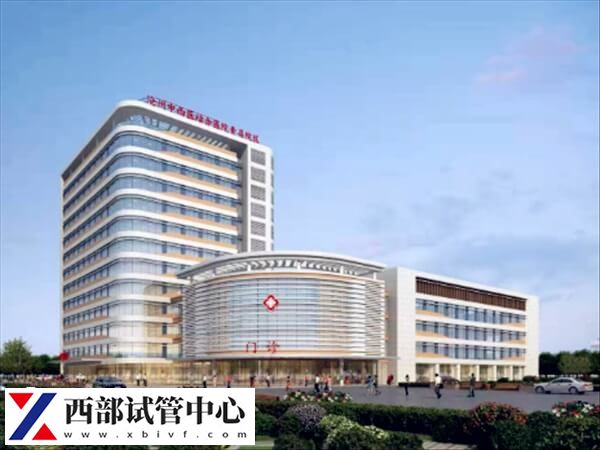 滄州市二醫(yī)院試管嬰兒專家多