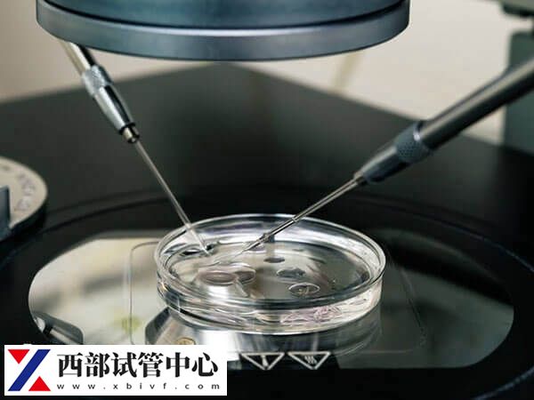 試管嬰兒移植凍胚成功率