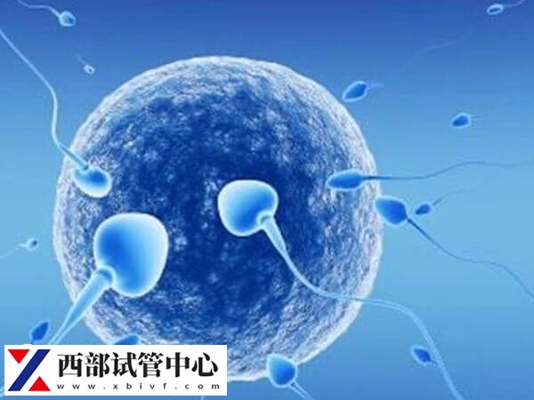 試管嬰兒移植凍胚多少天著床