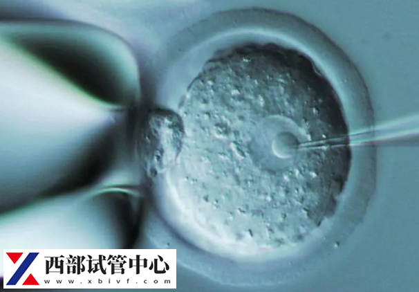 移植成功后食欲會(huì)發(fā)生變化