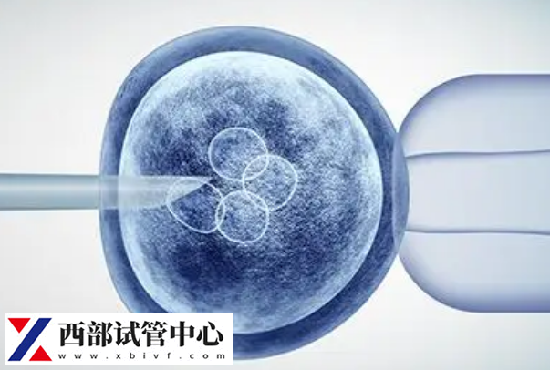 鮮胚移植成功后月經(jīng)會(huì)延遲