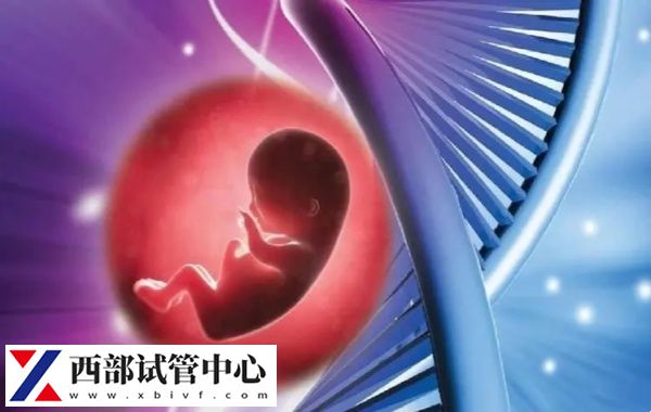 25-35歲之間是女性生育的黃金年齡段