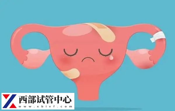 45歲以上試管妊娠率不高