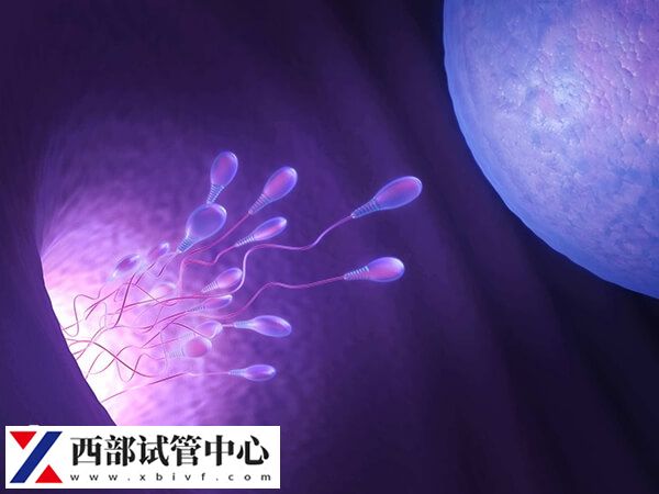 貴州有兩家公立醫(yī)院開展了三代試管嬰兒技術
