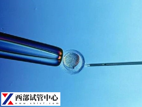重慶試管嬰兒成功率有50%