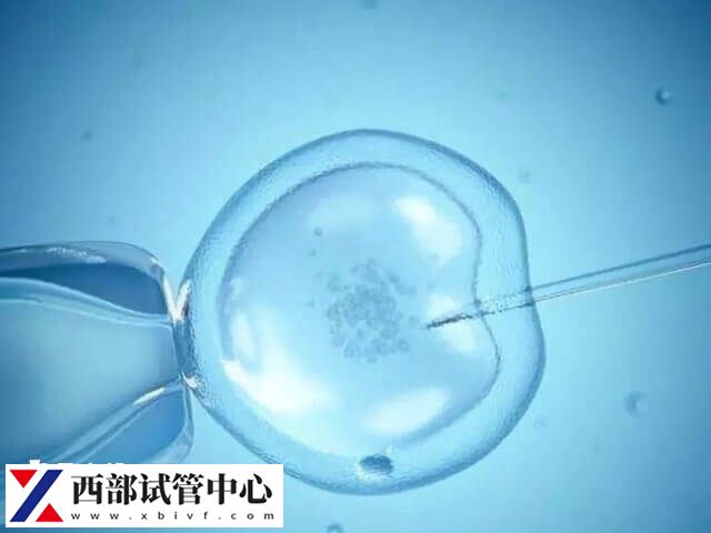 試管移植是現(xiàn)代醫(yī)學技術的一項重要成果